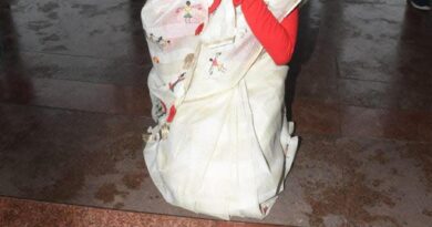विधानसभा प्रवेश द्वार पर नतमस्तक पूर्णिमा साहू